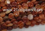 CAG629 15.5 inches 8mm coin natural fire agate beads wholesale