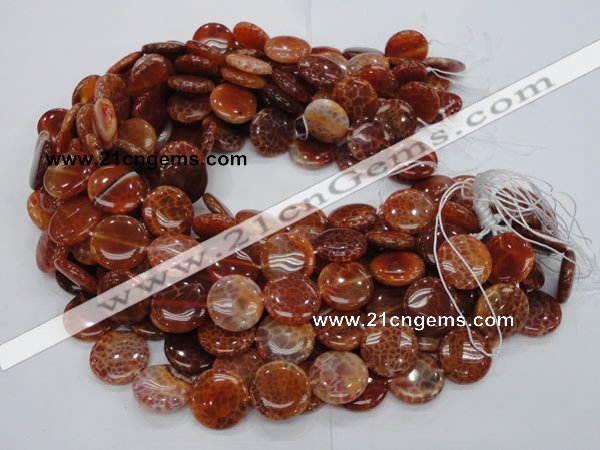 CAG631 15.5 inches 14mm coin natural fire agate beads wholesale