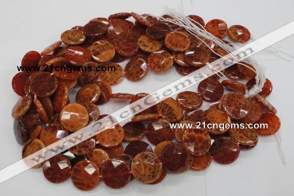 CAG638 15.5 inches 16mm faceted coin natural fire agate beads