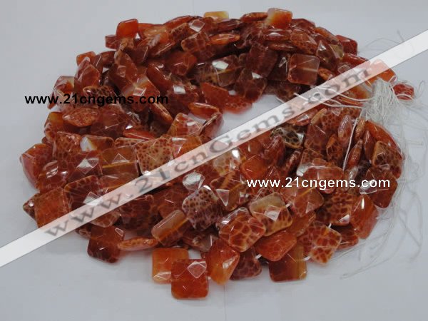 CAG649 15.5 inches 10*10mm faceted square natural fire agate beads