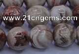 CAG6664 15.5 inches 12mm round Mexican crazy lace agate beads