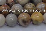 CAG6674 15.5 inches 12mm round natural crazy lace agate beads