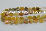 CAG7350 15.5 inches 14*15mm - 16*18mm octagonal dragon veins agate beads