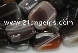 CAG739 15.5 inches 14*18mm rectangle botswana agate beads wholesale