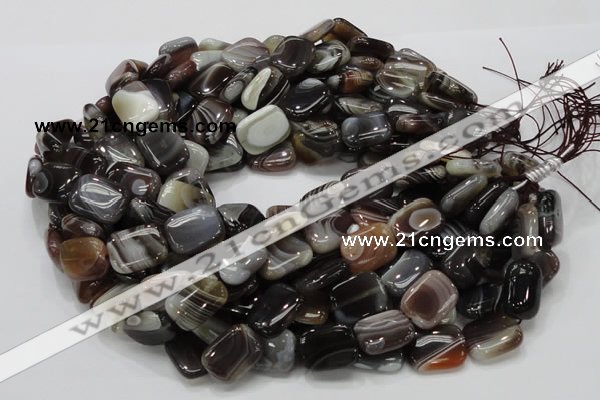 CAG739 15.5 inches 14*18mm rectangle botswana agate beads wholesale