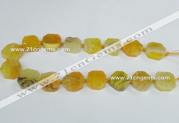 CAG7392 15.5 inches 22*25mm freeform dragon veins agate beads