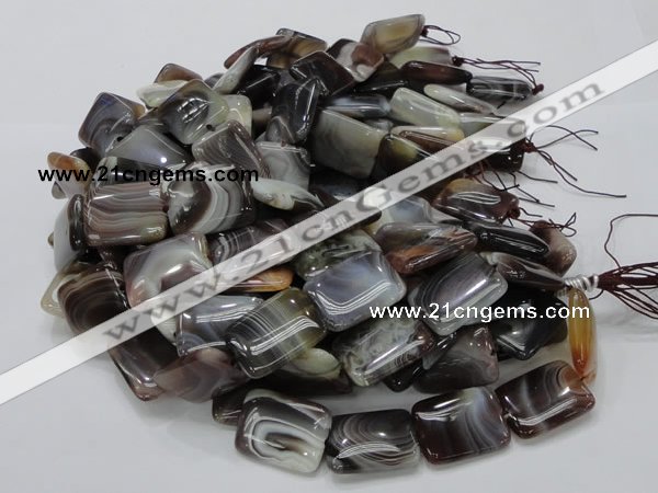 CAG741 15.5 inches 18*24mm rectangle botswana agate beads wholesale