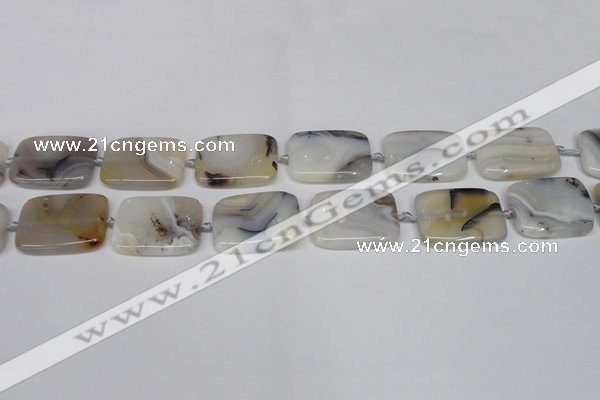 CAG7423 15.5 inches 18*25mm rectangle Montana agate beads