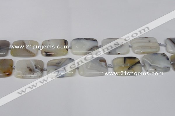 CAG7424 15.5 inches 20*30mm rectangle Montana agate beads