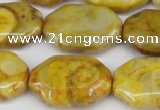 CAG7437 15.5 inches 20*30mm octagonal crazy lace agate beads