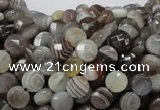 CAG749 15.5 inches 6mm faceted coin botswana agate beads wholesale