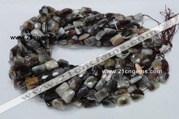 CAG759 15.5 inches 10*14mm faceted rectangle botswana agate beads