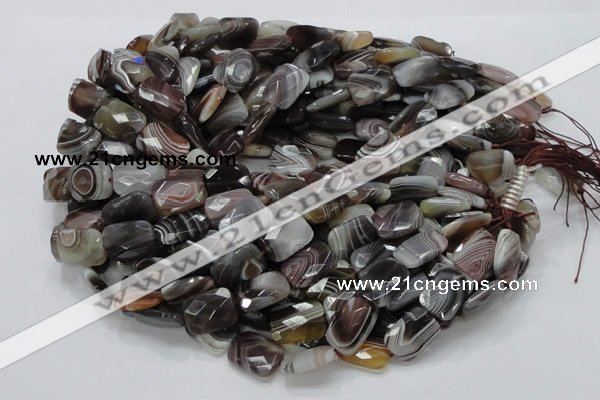 CAG760 15.5 inches 14*18mm faceted rectangle botswana agate beads