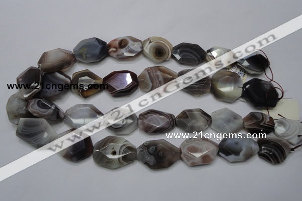 CAG761 15.5 inches 18*25mm faceted freeform botswana agate beads