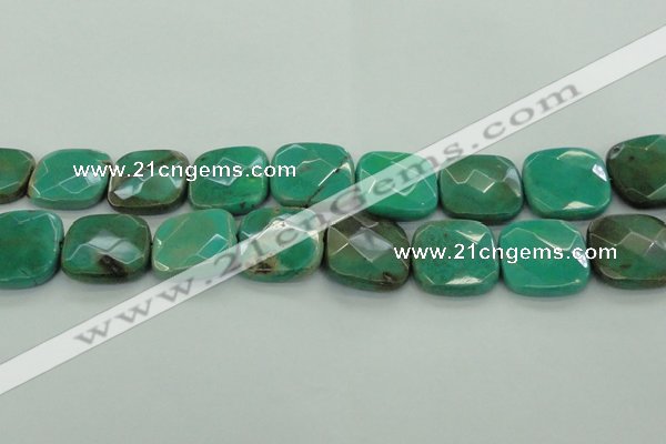 CAG7918 15.5 inches 30*30mm faceted square grass agate beads