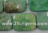 CAG7926 15.5 inches 18*25mm faceted rectangle grass agate beads