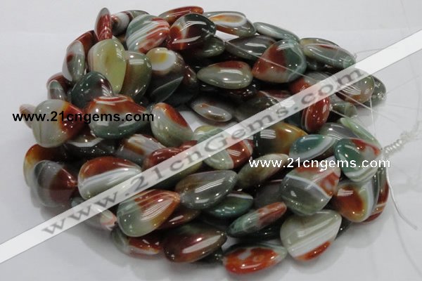 CAG808 15.5 inches 22*30mm flat teardrop rainbow agate gemstone beads