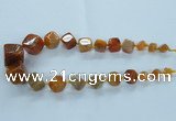 CAG8521 15.5 inches 9*10mm - 23*24mm cube dragon veins agate beads