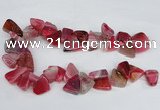 CAG8542 Top drilled 15*20mm - 25*30mm freeform dragon veins agate beads