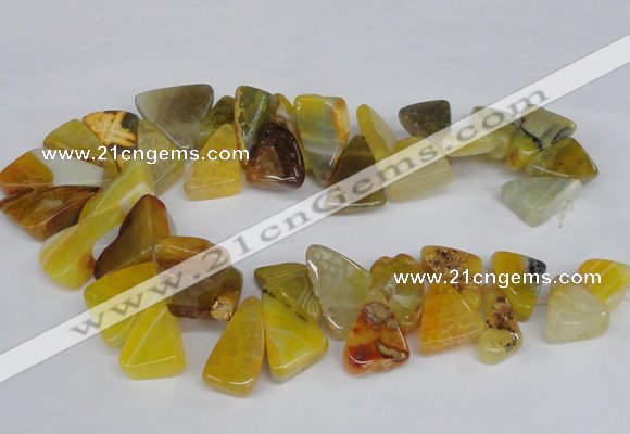 CAG8543 Top drilled 15*20mm - 25*30mm freeform dragon veins agate beads