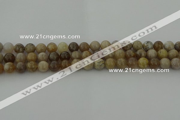 CAG9402 15.5 inches 8mm round ocean fossil agate beads wholesale