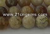 CAG9403 15.5 inches 10mm round ocean fossil agate beads wholesale