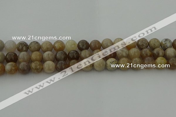 CAG9403 15.5 inches 10mm round ocean fossil agate beads wholesale