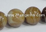 CAG943 16 inches 20mm round madagascar agate gemstone beads