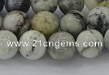 CAG9733 15.5 inches 10mm round black & white agate beads wholesale