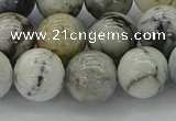 CAG9734 15.5 inches 12mm round black & white agate beads wholesale