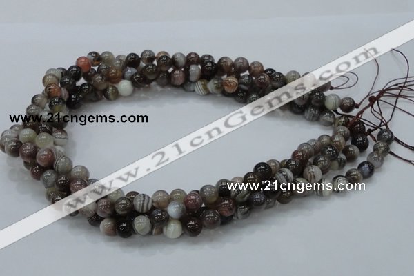 CAG981 15.5 inches 12mm round botswana agate beads wholesale