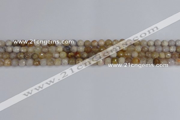 CAG9852 15.5 inches 4mm faceted round ocean fossil agate beads