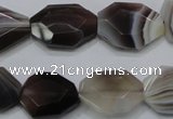 CAG990 15.5 inches 15*20mm faceted freeform botswana agate beads