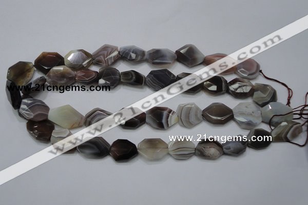 CAG990 15.5 inches 15*20mm faceted freeform botswana agate beads