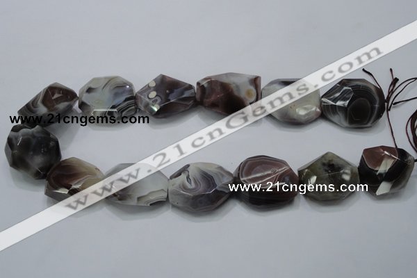 CAG991 15.5 inches 25*30mm faceted freeform botswana agate beads