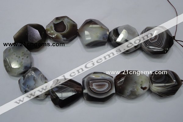 CAG992 15.5 inches 30*40mm faceted freeform botswana agate beads