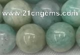 CAM1684 15.5 inches 12mm round natural amazonite beads wholesale