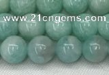 CAM1686 15.5 inches 6mm round natural amazonite beads wholesale