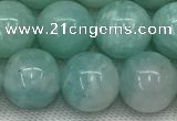 CAM1688 15.5 inches 10mm round natural amazonite beads wholesale