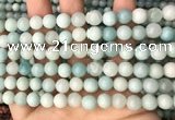 CAM1722 15.5 inches 8mm round amazonite beads wholesale