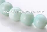 CAM19 15.5 inches 12mm natural amazonite round beads Wholesale