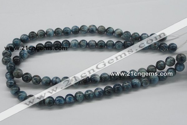 CAP06 15.5 inches 10mm round apatite gemstone beads wholesale