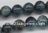 CAP07 15.5 inches 14mm round apatite gemstone beads wholesale