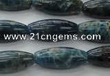 CAP310 15.5 inches 11*25mm rice natural apatite gemstone beads