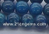 CAP363 15.5 inches 10mm round apatite gemstone beads wholesale