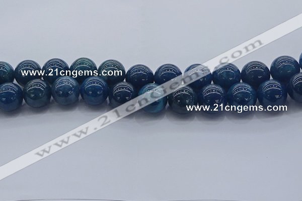 CAP366 15.5 inches 16mm round apatite gemstone beads wholesale