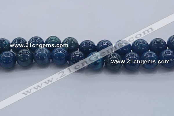 CAP367 15.5 inches 18mm round apatite gemstone beads wholesale