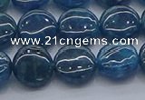 CAP381 15.5 inches 10mm flat round apatite gemstone beads