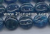 CAP381 15.5 inches 10mm flat round apatite gemstone beads