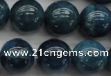 CAP403 15.5 inches 10mm round A grade natural apatite beads